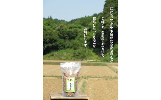 もち麦（ダイシモチ）1600ｇ×2袋 B146