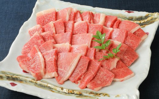 バラエティ美味焼肉セット（伊万里牛・豚肉・鶏肉セット1.1kg） J298