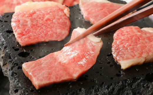 バラエティ美味焼肉セット（伊万里牛・豚肉・鶏肉セット1.1kg） J298