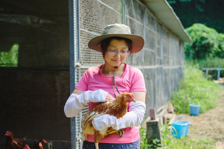 本間農園の無添加あんプリン５個セット 【スイーツ 平飼い 無添加 有精卵 ミルン牧場 牛乳 プリン県 プリンマップ】(H073114)