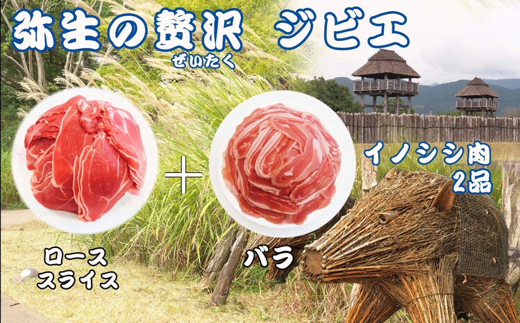 【定期便3回】脊振ジビエ イノシシ肉(ロース バラ)2品詰合せ800g 【佐賀 佐賀県産 猪 ロース バラ スライス 焼肉 しゃぶしゃぶ 鍋物】(H072125)