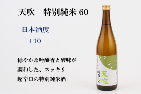 TheSAGA認定酒 特別純米酒おまかせ3本 定期便6回(H072160)