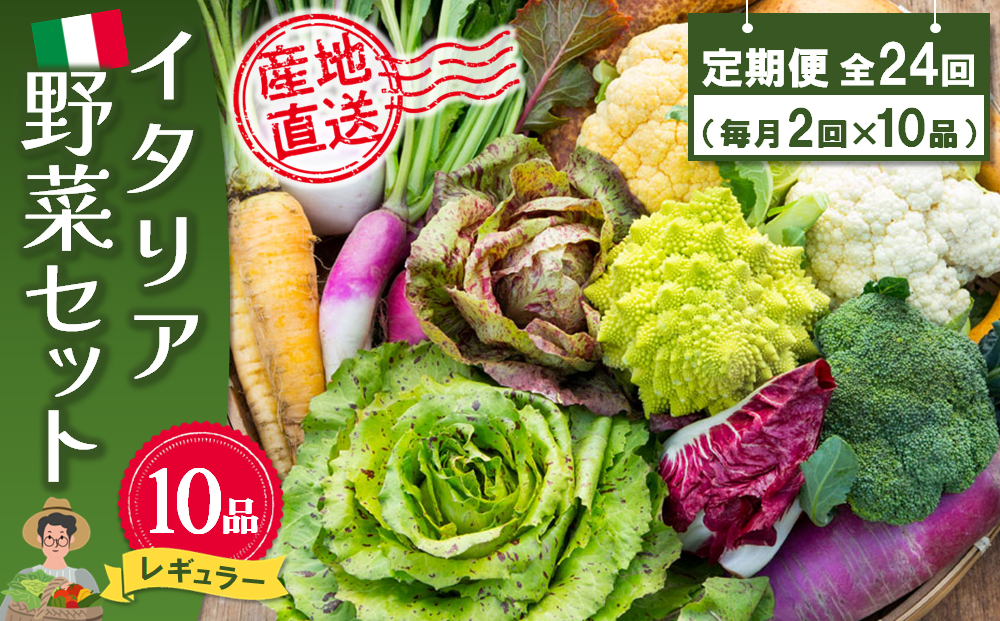 年間定期便24回 イタリア野菜セットレギュラー 10品 【有機野菜 おまかせ野菜セット イタリア野菜 西洋野菜 定期便】(H078150)