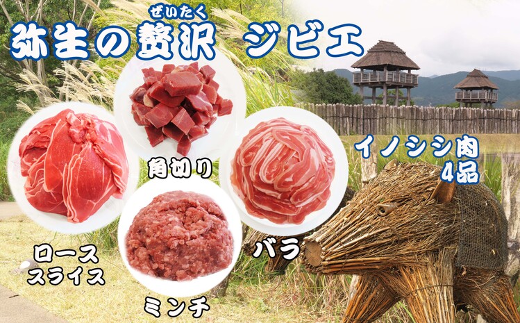 【定期便6回】脊振ジビエ イノシシ肉(ロース バラ 角切り ミンチ)4品詰合せ(小) 【佐賀 佐賀県産 猪 ロース バラ スライス 焼肉 しゃぶしゃぶ 鍋物】(H072129)