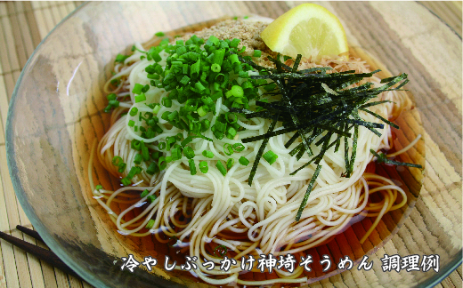 佐賀県特産品 神埼そうめん 20入 【そうめん 神埼そうめん 乾麺 特産品 御中元 夏 自家用】(H014110)