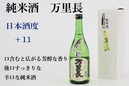 TheSAGA認定酒 純米酒おまかせ詰め合わせ5本 セット(H072170)