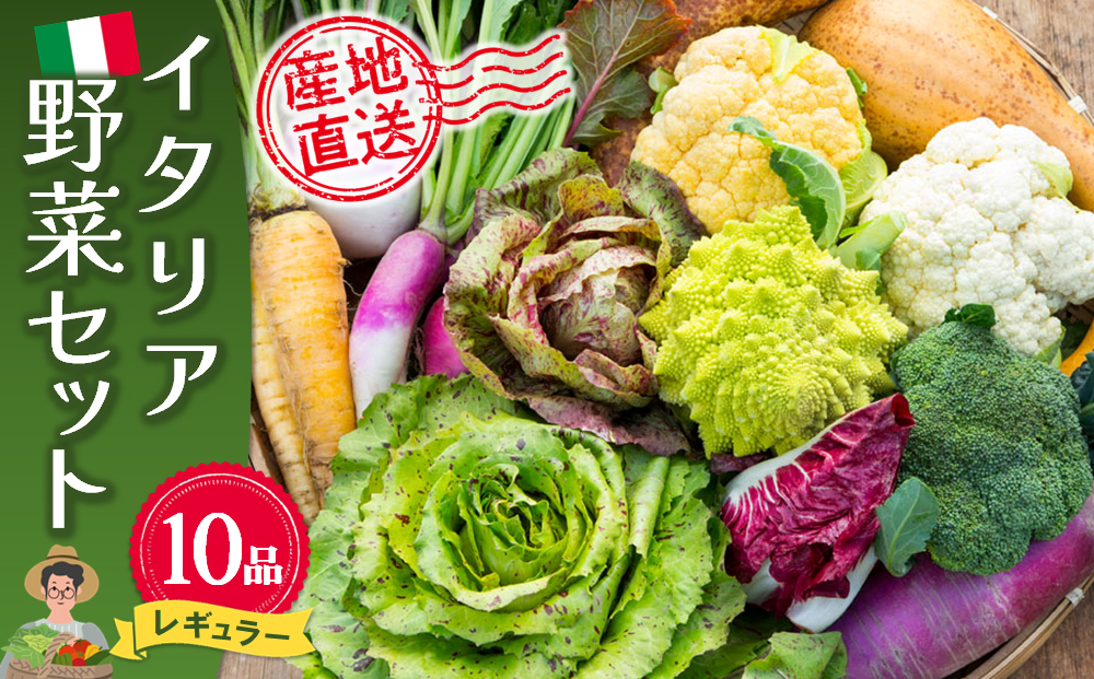 イタリア野菜セットレギュラー 10品 【有機野菜 おまかせ野菜セット イタリア野菜 西洋野菜】(H078148)