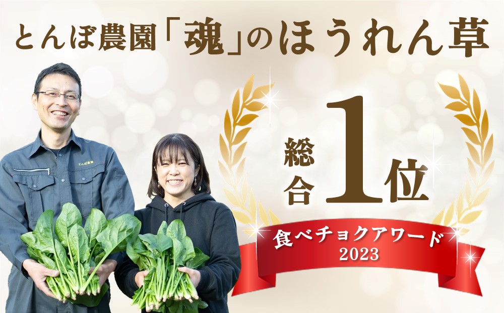 【先行受付 10月より順次発送】ほうれん草 1kg バラ詰め（大きな袋に1kg）【ハウス栽培 産地直送 クール便 佐賀県脊振山麓産】(H091116)