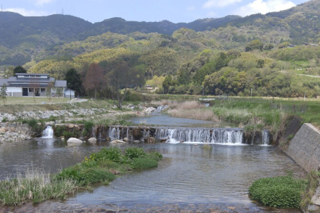 国産はちみつ(神埼産)百花蜜 450g 【贈り物 黄金色 自家製 疲労回復 美容 栄養 花の蜜 純粋 九州産】(H050127)