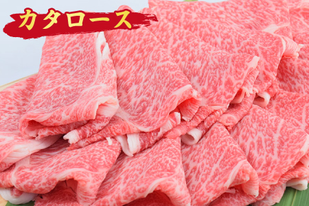 佐賀牛 肩ローススライス しゃぶしゃぶ用 600g A5 A4【希少 国産和牛 牛肉 肉 牛 しゃぶしゃぶ 肩ロース】(H085136)