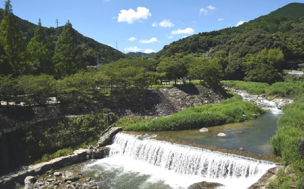 【定期便3回】神埼産 天然はちみつ(計6kg) 定期コースH【国産 神埼産 おすすめ 無添加 贈り物 定期便】(H049133)