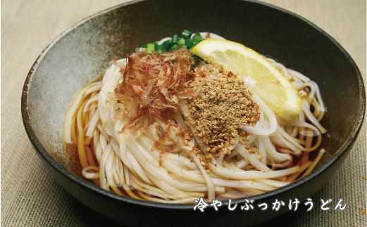 さっとできてさっと食べられる ささっとうどん 20入 【麺 うどん 佐賀県産 簡単】(H014113)