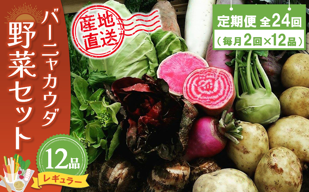 年間定期便24回 バーニャカウダ野菜セットレギュラー 12品 【有機野菜 おまかせ野菜セット イタリア野菜 西洋野菜 定期便】(H078144)