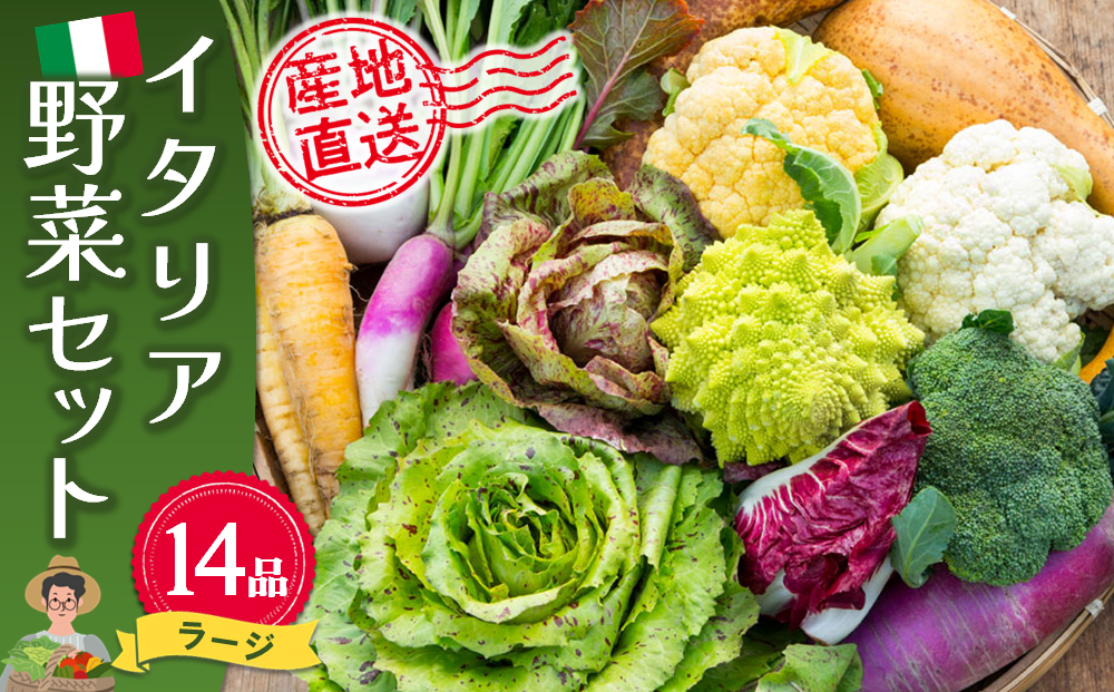 イタリア野菜セットラージ 14品 【有機野菜 おまかせ野菜セット イタリア野菜 西洋野菜】(H078133)