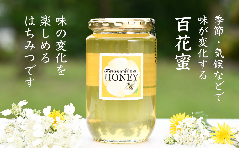 【数量限定】2024年産 国産天然蜂蜜（初夏の蜜）500g & 470g【 合計970g 】(H049117)