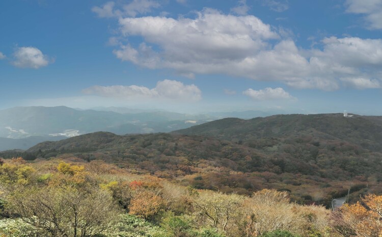 脊振ジビエ イノシシ肉(ロース バラ 角切り ミンチ)4品詰合せ(小) 【佐賀 佐賀県産 猪 ロース バラ スライス 焼肉 しゃぶしゃぶ 鍋物】(H072186)