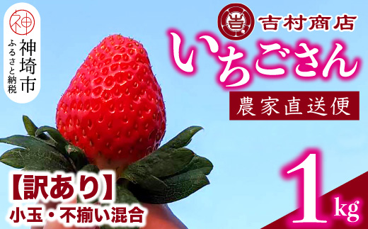 【令和7年1月中旬より順次発送】【訳あり】いちごさん 約1kg (小玉不揃い混合) 【訳あり いちご イチゴ 苺 佐賀県 甘い フルーツ 果物 国産 お祝い 贈り物】(H098108)