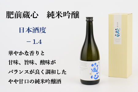 TheSAGA認定酒 純米吟醸酒おまかせ3本 定期便3回(H072162)