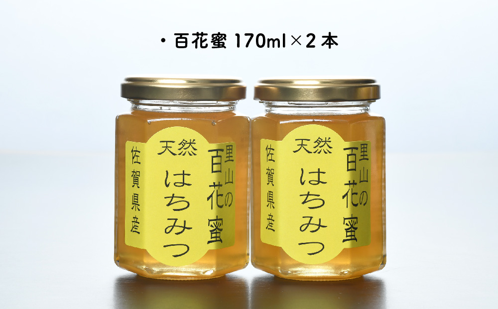 ワン・ニャン 百花蜜セット(各170ml×2) 【はちみつ 百花蜜 ゆるキャラ くねんワン くねんニャン 】(H059112)