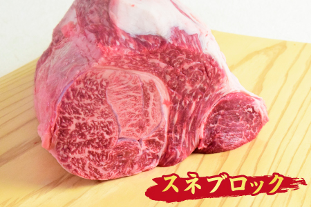 佐賀牛 すね肉 ブロック 500g 【煮込み料理 A5 A4 希少 国産和牛 牛肉 肉 牛】(H085156)