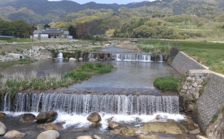 国産はちみつ(神埼産)百花蜜 1.2kg 【贈り物 黄金色 自家製 疲労回復 美容 栄養 花の蜜 純粋 九州産】(H050124)