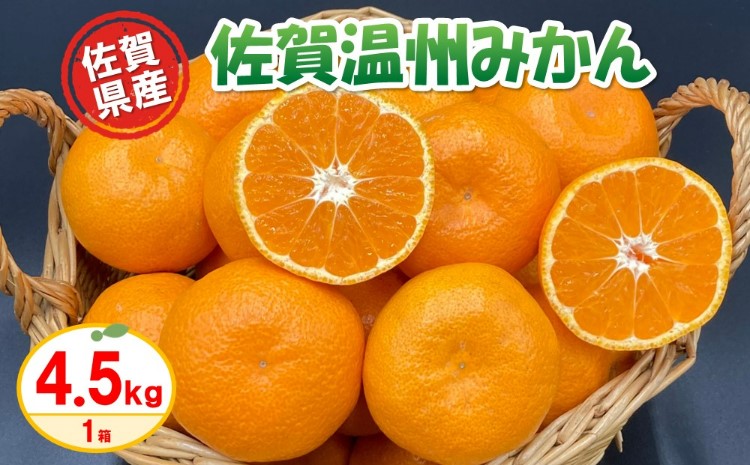 【令和6年11月より発送】佐賀温州みかん(1箱 4.5kg)【フルーツ 佐賀 佐賀県産 早生みかん 温州みかん ギフト 贈答 プレゼント】 (H072107)