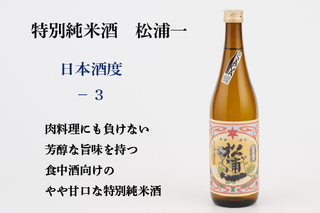 TheSAGA認定酒 特別純米酒おまかせ2本 定期便3回(H072148)