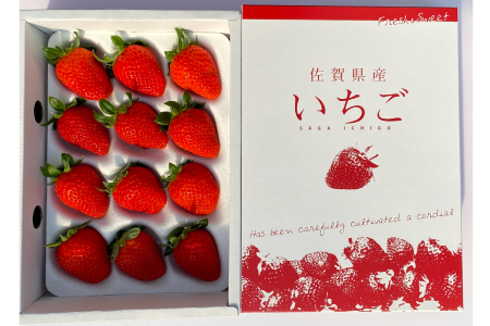 【先行受付】いちごさん さがほのか 大玉いちごセット 9粒から15粒（約350g）【令和7年1月中旬より順次発送 果物 いちご 苺 いちごさん さがほのか】(H101101)