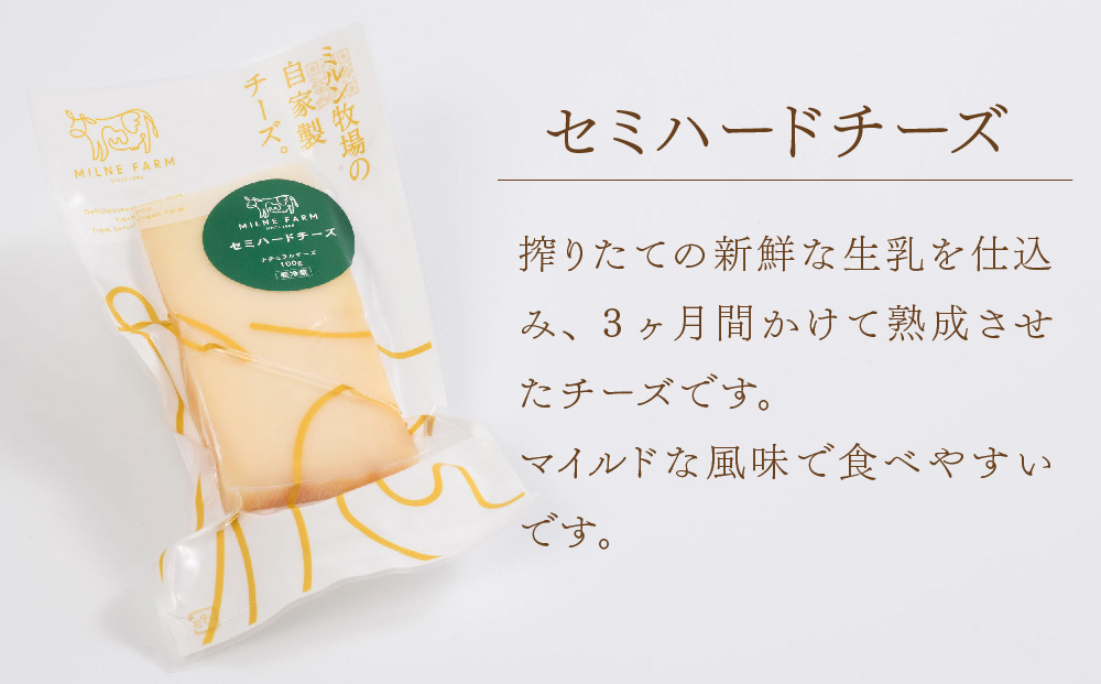 『ミルン牧場のフレッシュなモッツアレラ＆熟成チーズ』のセット100g×計5個(H102120)