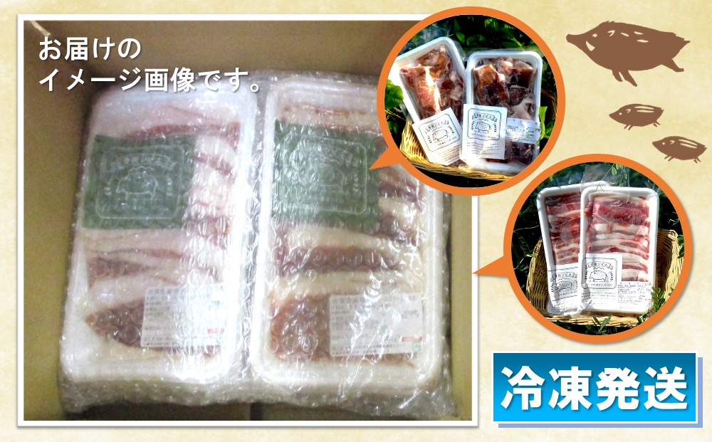 脊振ジビエ イノシシ肉バラエティセット 約1.4kg 【脊振 ロース ばら 肩ロース ミンチ カレー 鍋 セット】(H044107)