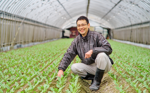 ほうれん草 約1kg（150g x 7袋）【ハウス栽培 産地直送 クール便 佐賀県脊振山麓産】(H091113)