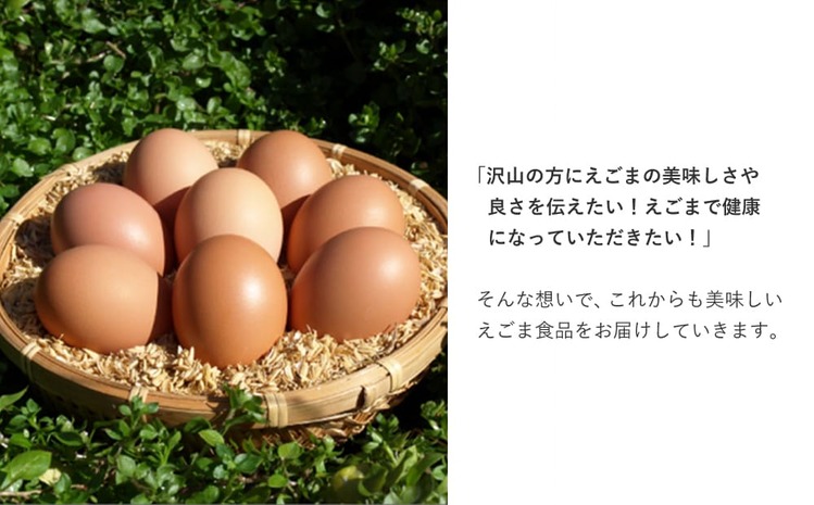 平飼い・有精卵 えごまたまご 40個入り 【たまご 卵 平飼い 美味しい卵