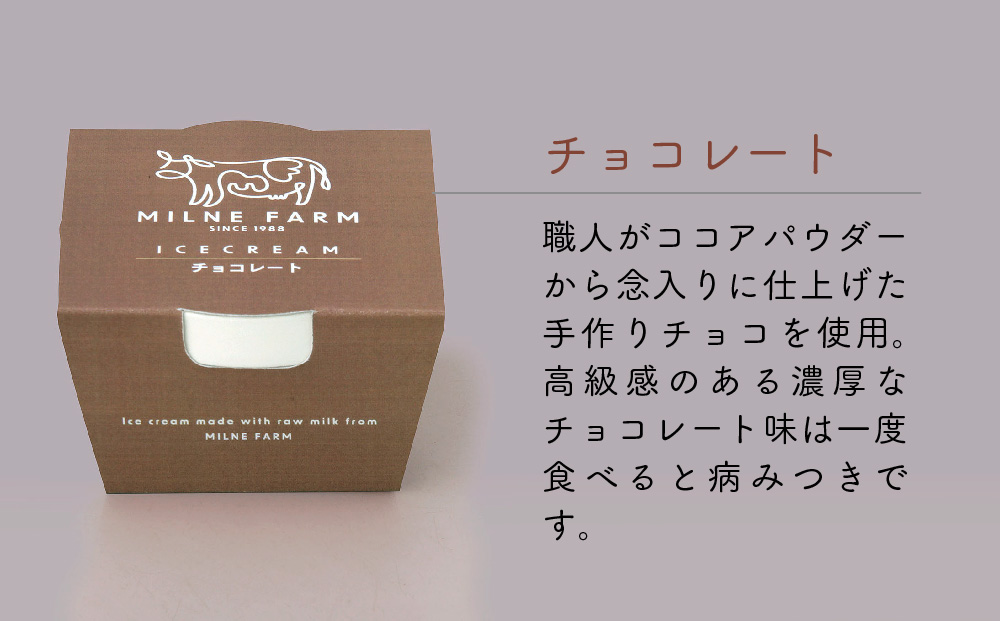 佐賀脊振高原ミルン牧場のアイスクリーム48個セット【手作り 濃厚 生乳 ミルク バニラ 抹茶 チョコ ストロベリー ラムレーズン】(H102124)