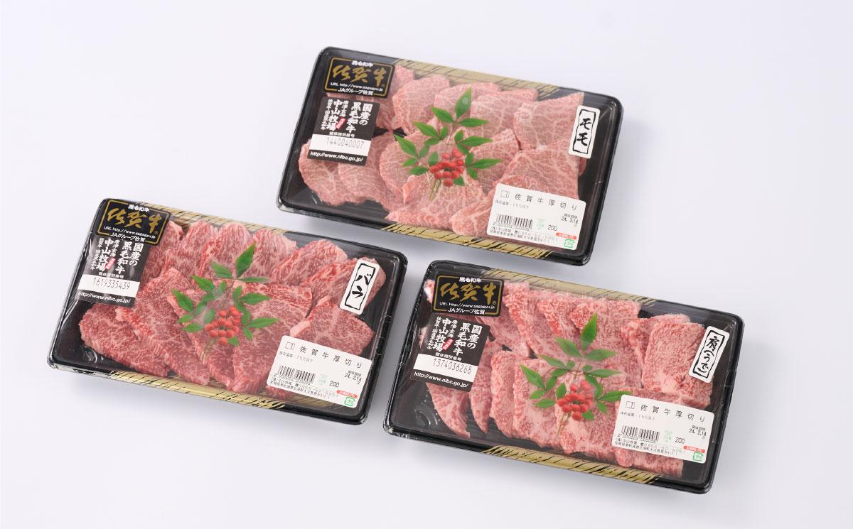 【2月発送】【こだわりの手切り！】牧場直送 佐賀牛焼肉セット(上)(H106117)