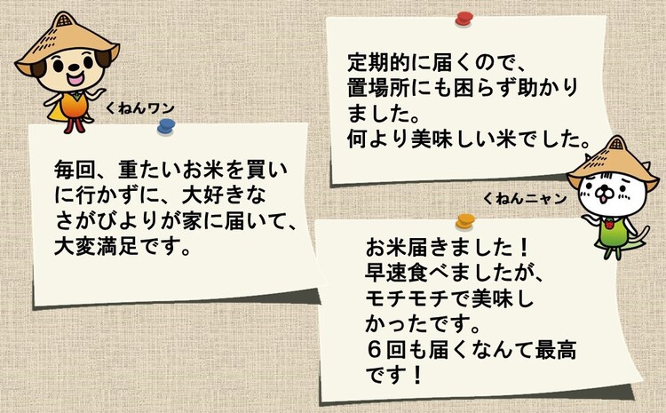 新米先行予約開始！】令和5年産【定期便6ヶ月】13年連続最高評価特A