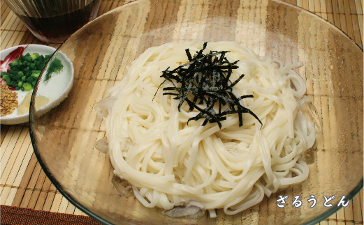 さっとできてさっと食べられる ささっとうどん 20入 【麺 うどん 佐賀県産 簡単】(H014113)