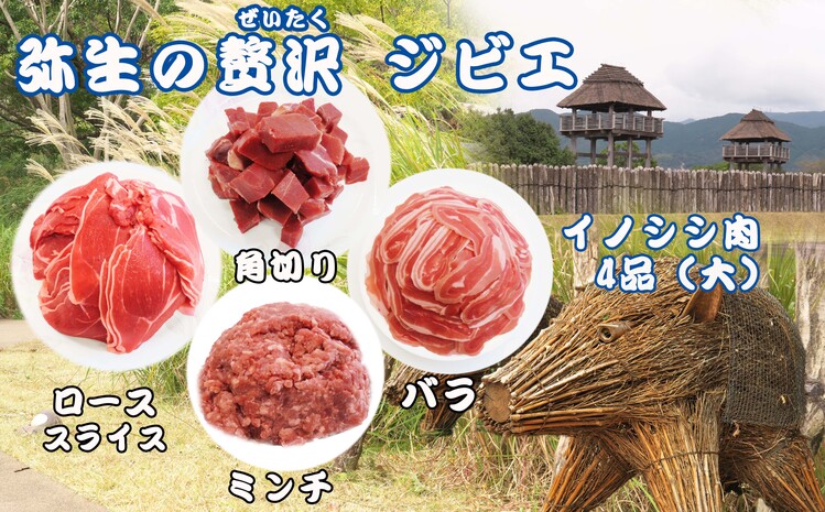 脊振ジビエ イノシシ肉(ロース バラ 角切り ミンチ)4品詰合せ1.4kg 【佐賀 佐賀県産 猪 ロース バラ 焼肉 しゃぶしゃぶ 鍋物】(H072121)