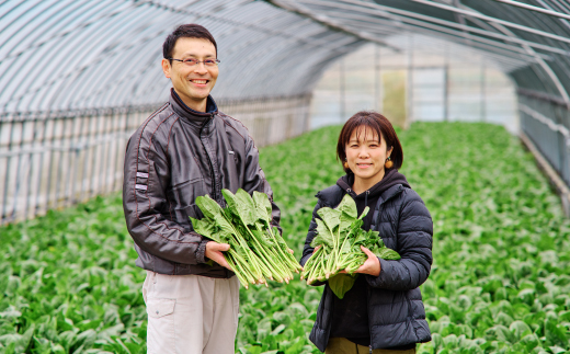 【先行受付 10月より順次発送】ほうれん草 1kg バラ詰め（大きな袋に1kg）【ハウス栽培 産地直送 クール便 佐賀県脊振山麓産】(H091116)