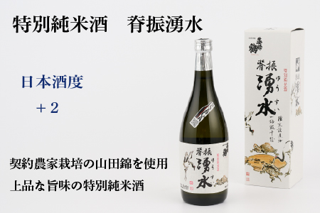 TheSAGA認定酒 特別純米酒おまかせ3本 定期便3回(H072159)