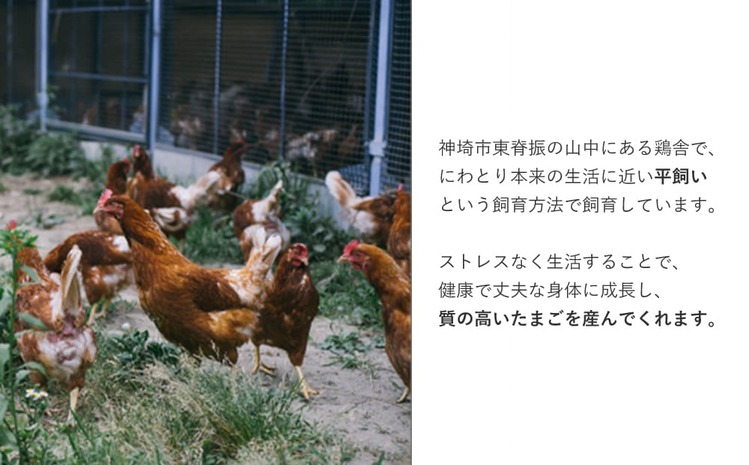 えこびと農園平飼い鶏のえごまたまご 80個入り(H037131) - ふるさと