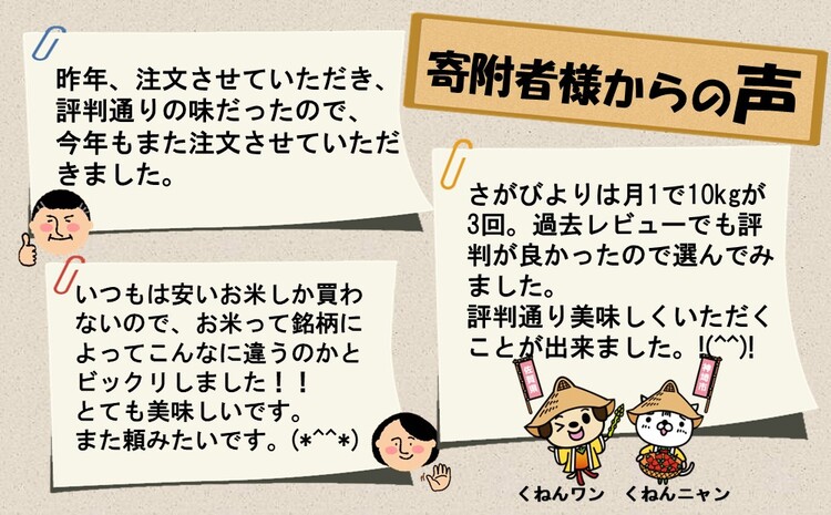 米 定期便3回】ごはんソムリエが厳選 さがびより10kg【米 お米 精米
