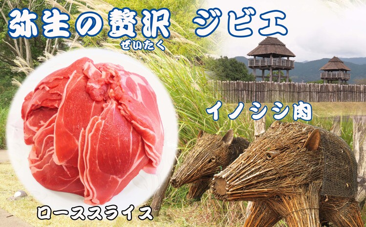 【定期便12回】脊振ジビエ イノシシ肉(ローススライス)800g 【佐賀 佐賀県産 猪 ロース バラ スライス 焼肉 しゃぶしゃぶ 鍋物】(H072124)