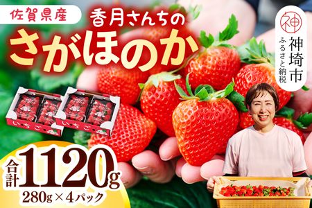 【先行受付 令和7年1月より発送】香月さんちのいちご(さがほのか)280g×4パック【いちご イチゴ 苺 さがほのか 大玉 大粒フルーツ 果物  数量限定 香月農園 佐賀県産】(H017109)