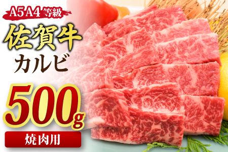 佐賀牛 カルビ 焼肉用 500g A5 A4 【希少 国産和牛 牛肉 肉 牛 焼肉】(H085176)