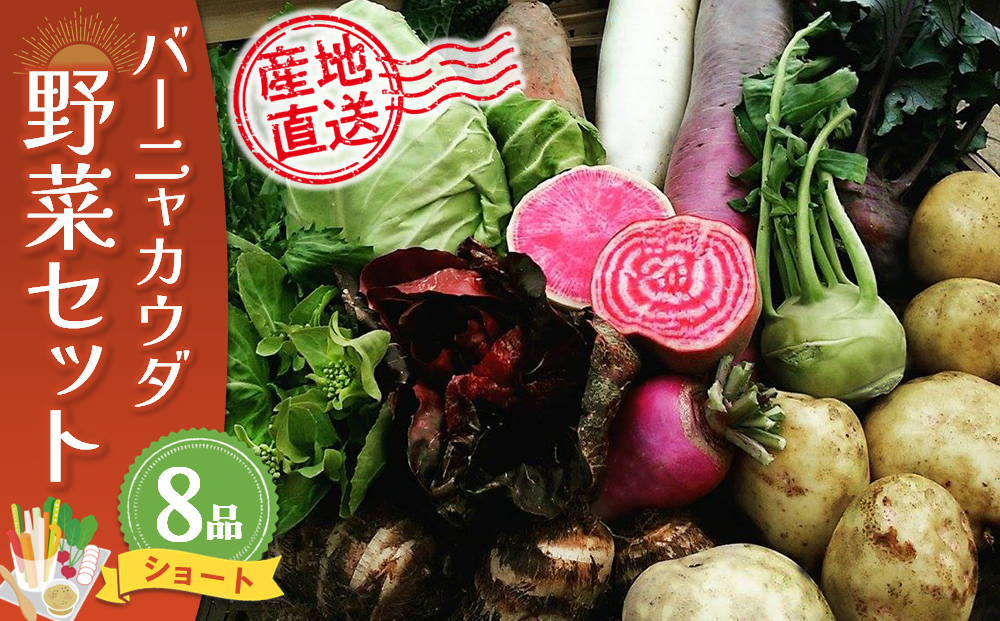 バーニャカウダ野菜セットショート 8品 【有機野菜 おまかせ野菜セット イタリア野菜 西洋野菜】(H078113)