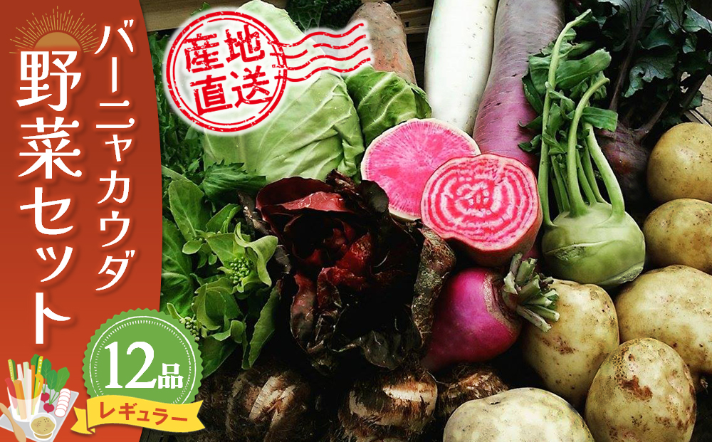 バーニャカウダ野菜セットレギュラー 12品 【有機野菜 おまかせ野菜セット イタリア野菜 西洋野菜】(H078117)