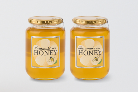 【数量限定】国産天然蜂蜜  春の蜜1kg & 初夏の蜜1kg【合計2kg】  (H049121)