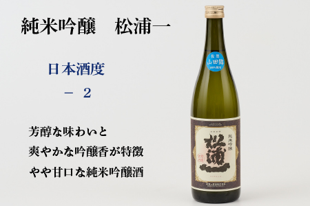 TheSAGA認定酒 純米吟醸酒おまかせ2本 定期便12回(H072197)