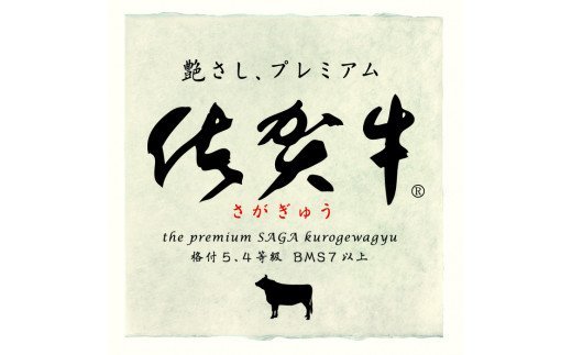佐賀牛焼肉セット 800g 【牛肉 牛 焼肉 ステーキ ロース BBQ キャンプ 精肉】(H066113)