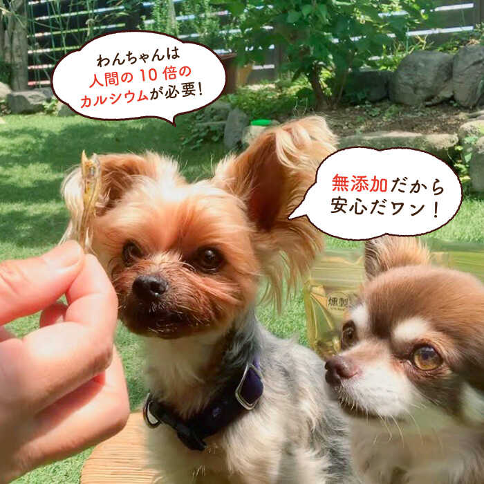 【定期便6回】犬と猫の無添加おやつ☆お塩不使用☆黄金の燻製にぼし [FCG030]